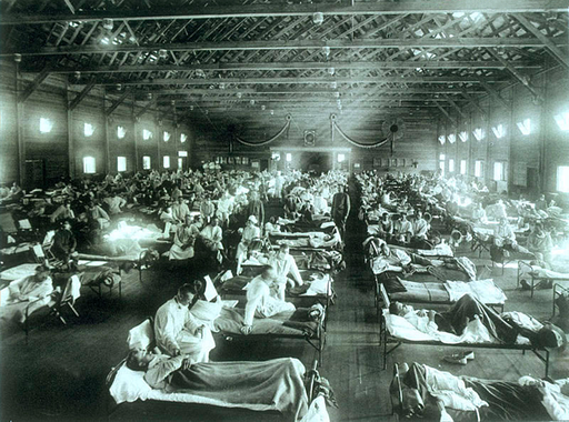 The Spanish flu