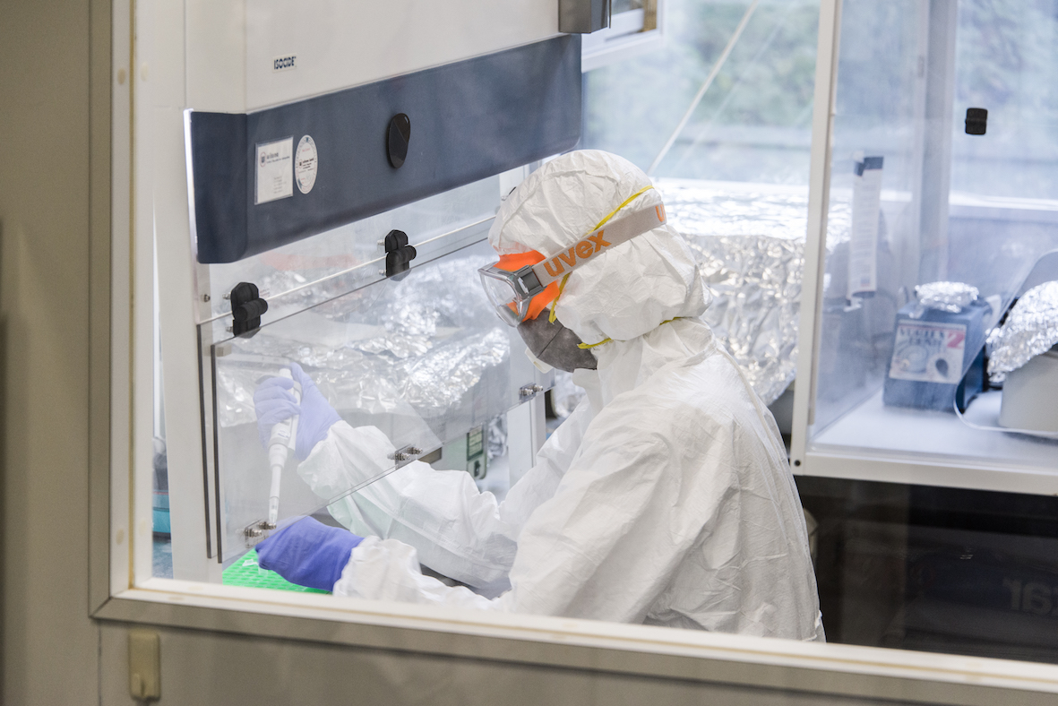 <p>Work in the aDNA Clean Lab</p>
