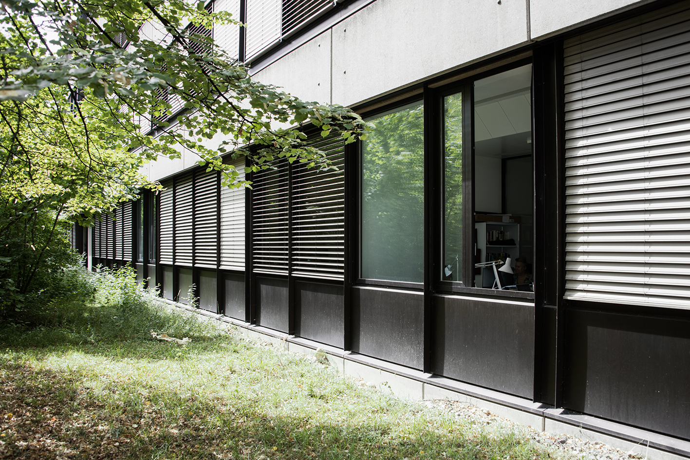 1_Institut Institut