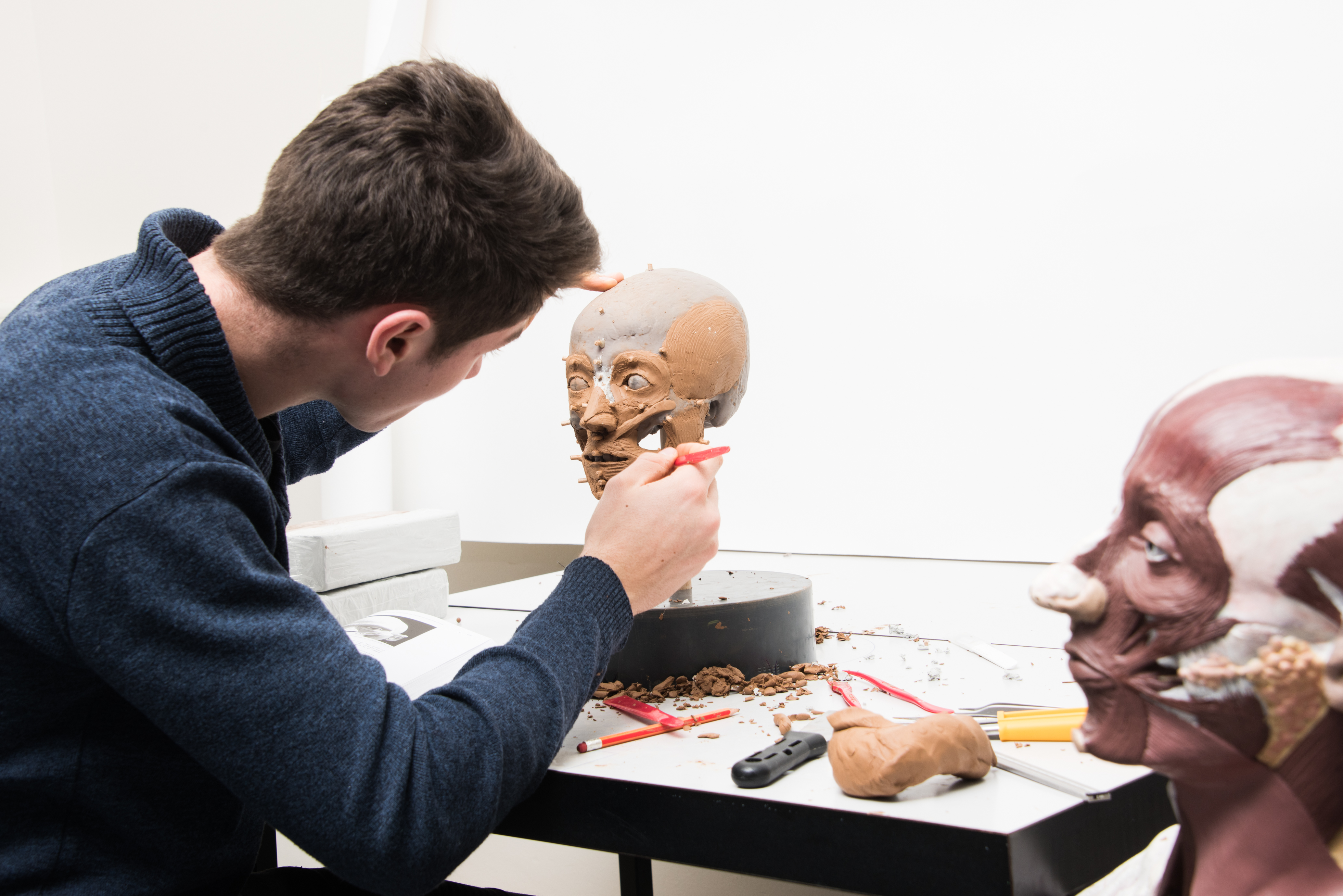 <p>Paleopathology and Mummy Studies Group: Forensic facial reconstruction in an ongoing research project</p>